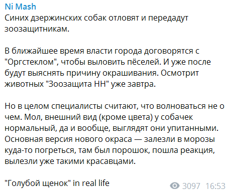 Скриншот сообщения