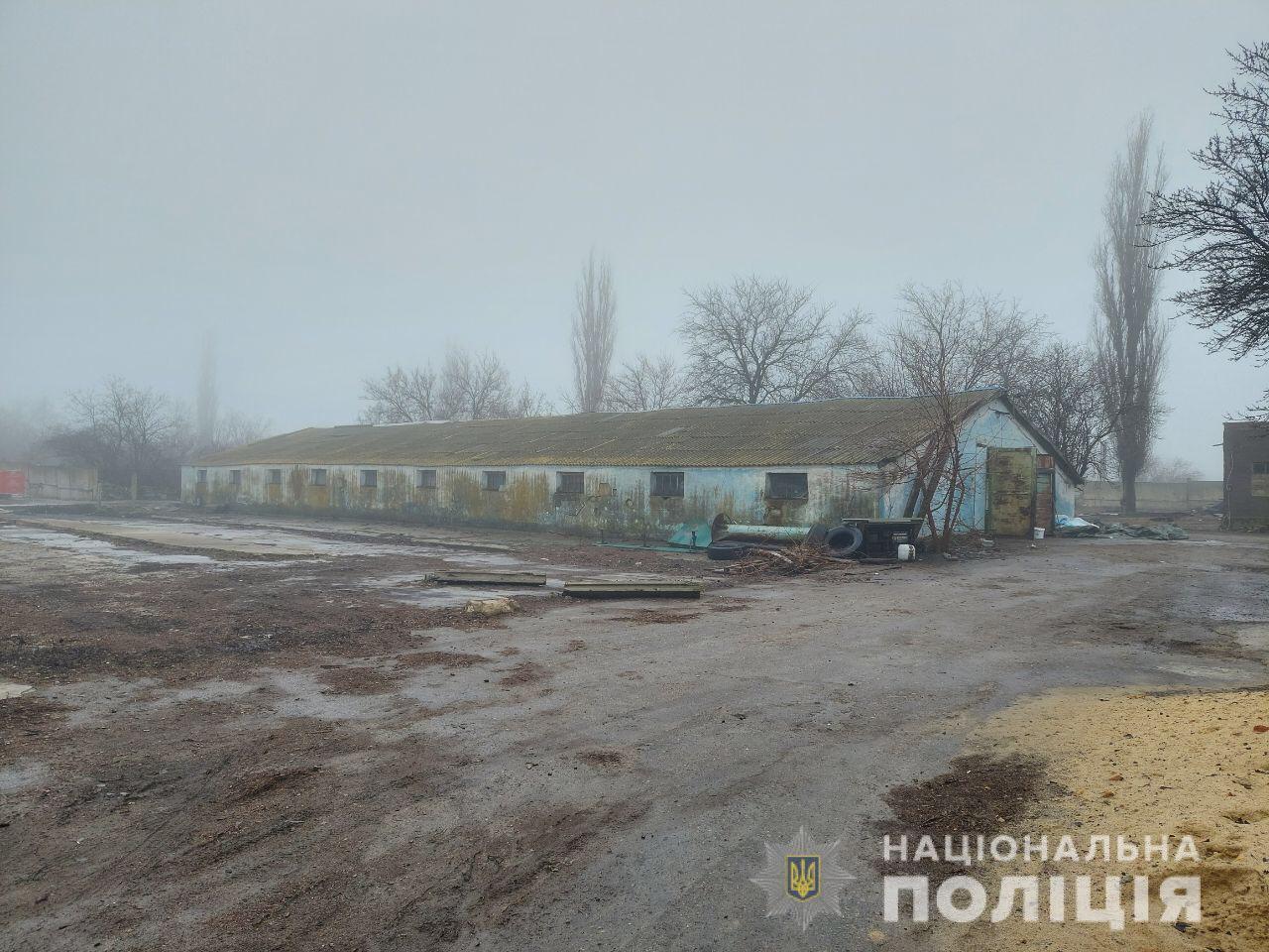 Свалку обнаружили в Киевской и Николаевской области.