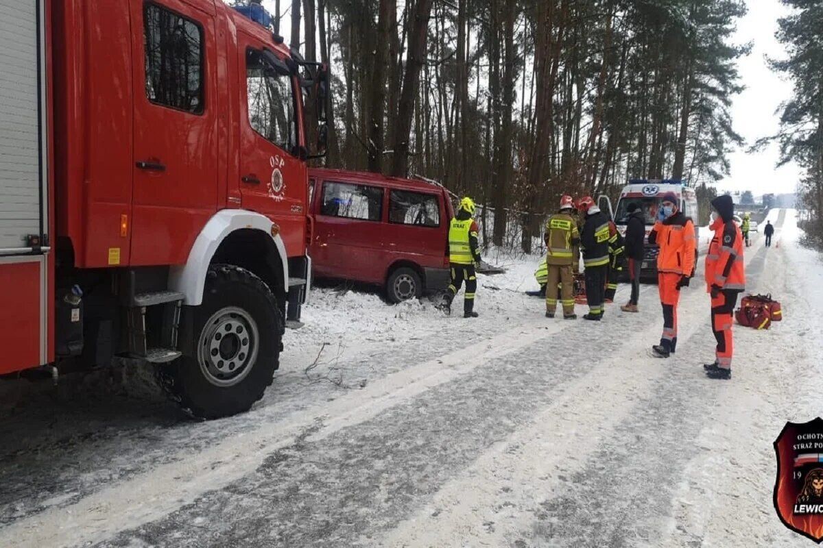 Автобус врезался в дерево