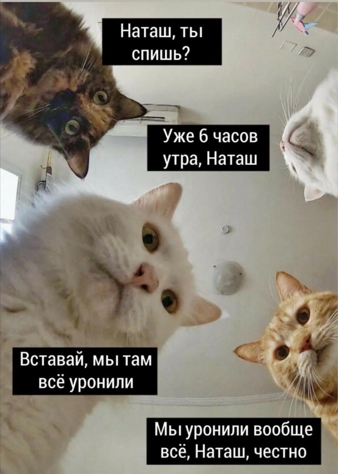 Анекдоты дня - смешные приколы и мемы за 15 февраля