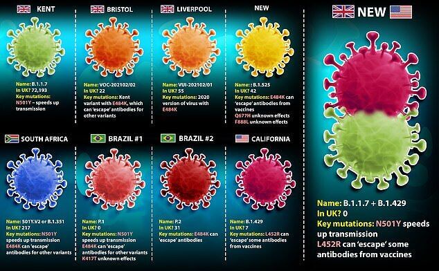 Гібридний варіант коронавірусу виявився комбінацією "британського" і "каліфорнійського" штамів
