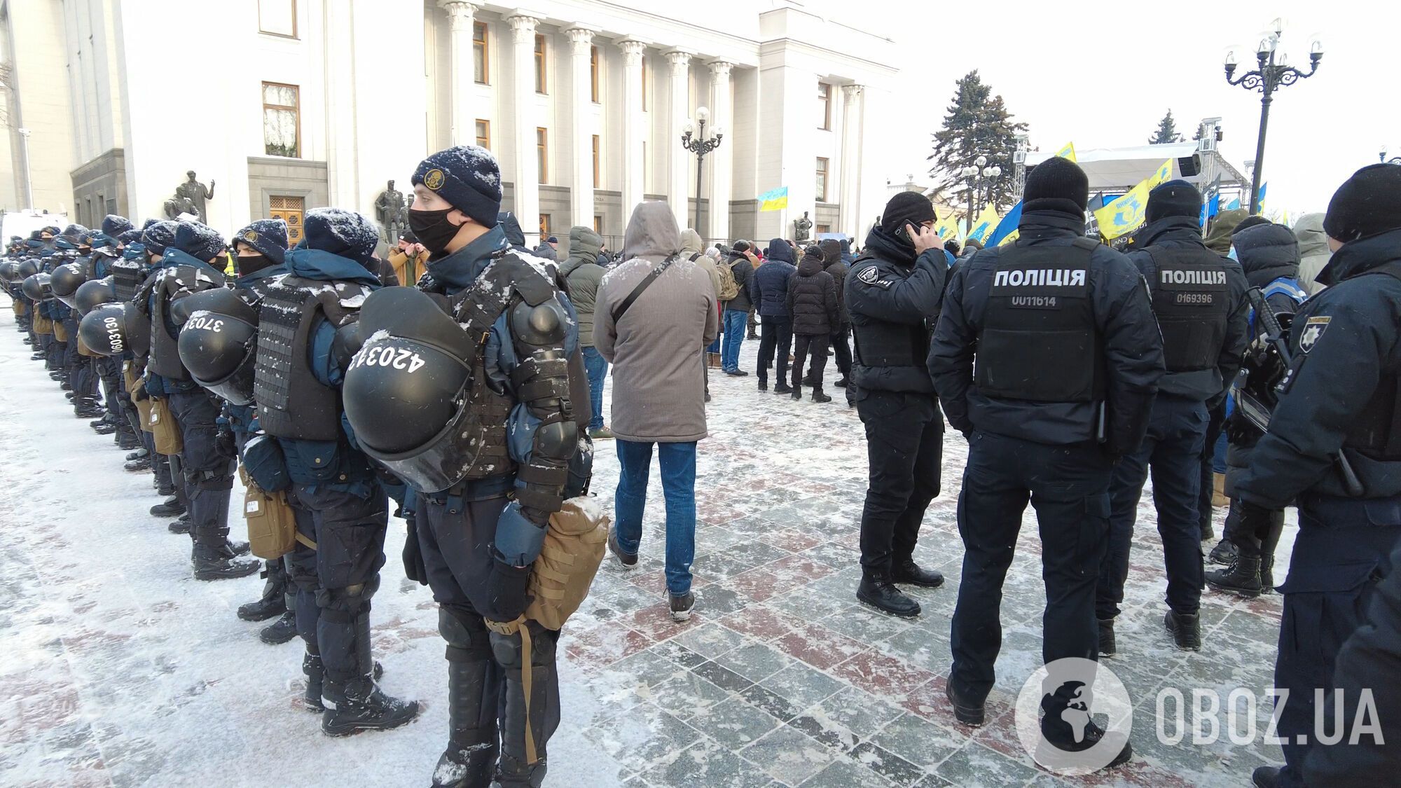 Митинг у стен парламента.