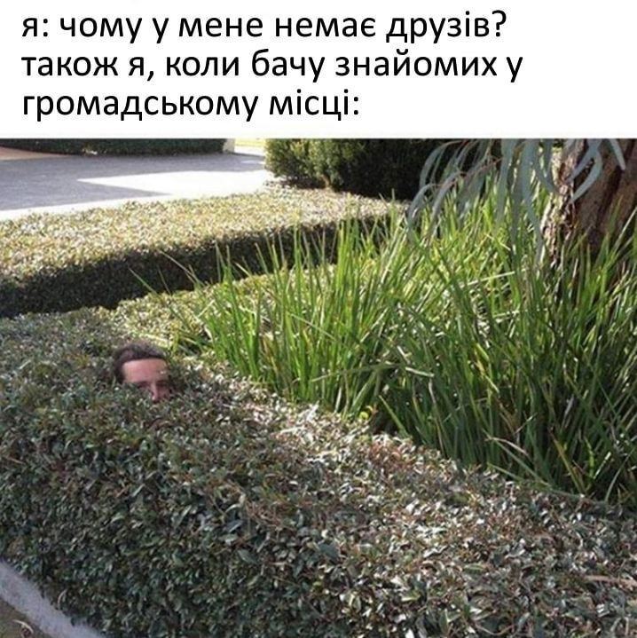 Мем о дружбе