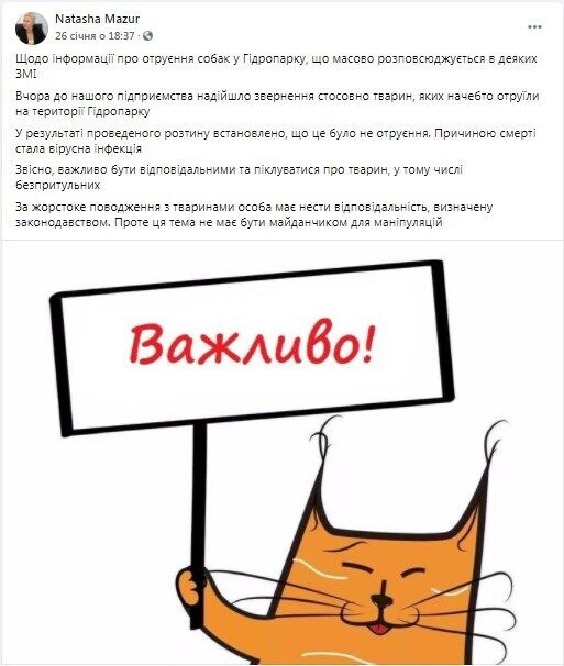 У Києві переполох через отруєння собак "рожевим снігом": як уберегти домашніх улюбленців