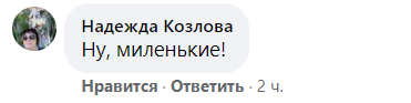 Крутоголов розчулив мережу знімками з синами