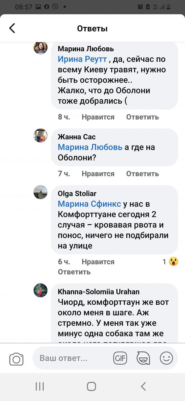 У Києві переполох через отруєння собак "рожевим снігом": як уберегти домашніх улюбленців