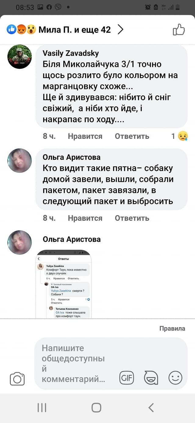 У Києві переполох через отруєння собак "рожевим снігом": як уберегти домашніх улюбленців