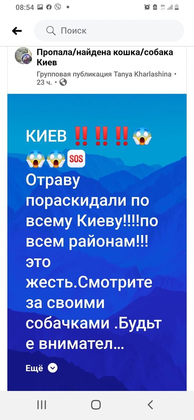 В Киеве переполох из-за отравления собак "розовым снегом": как уберечь домашних любимцев