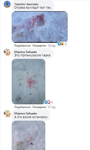 Яд для собак на снегу