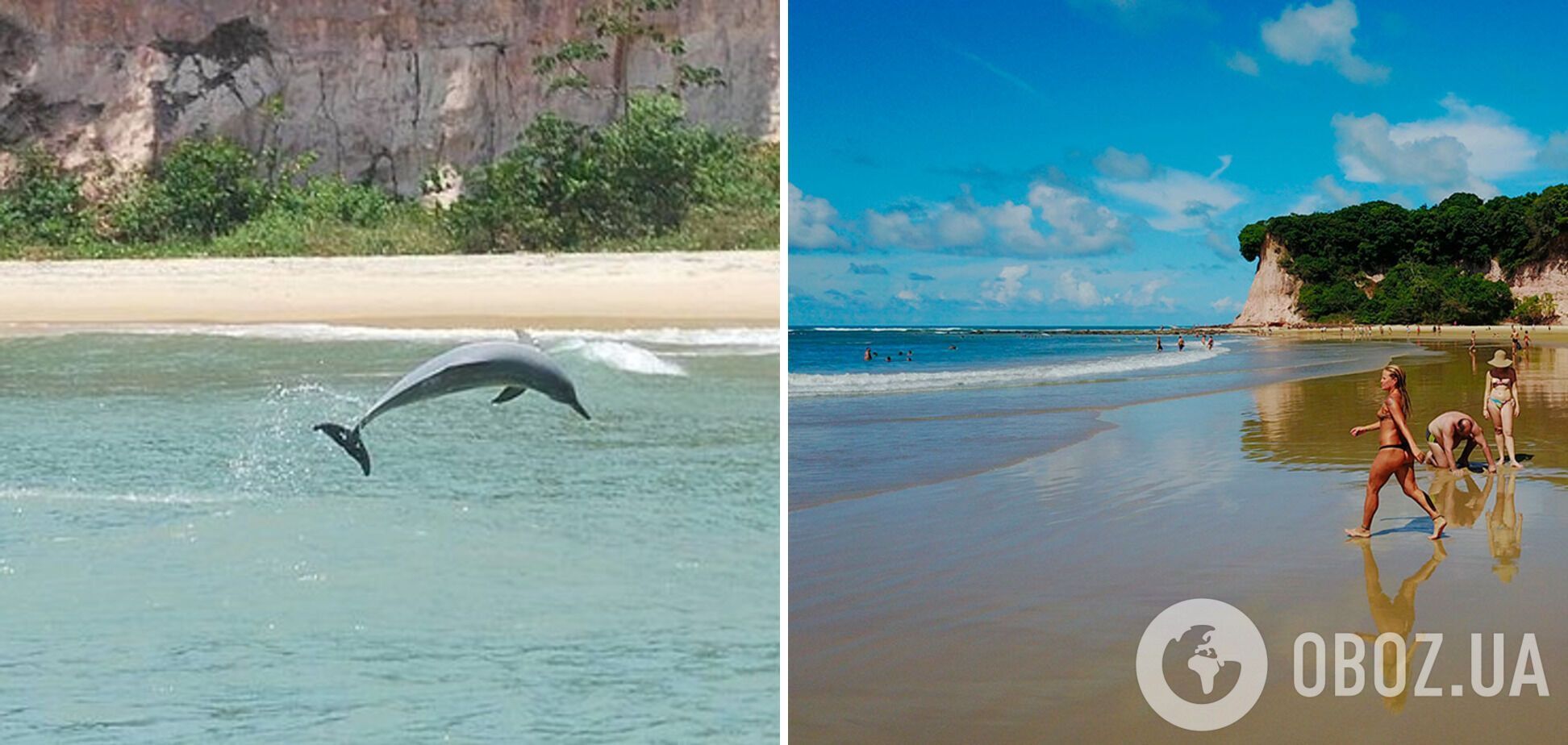 Baía dos Golfinhos в Бразилии привлекает туристов дельфинами, которые обитают рядом с побережьем.