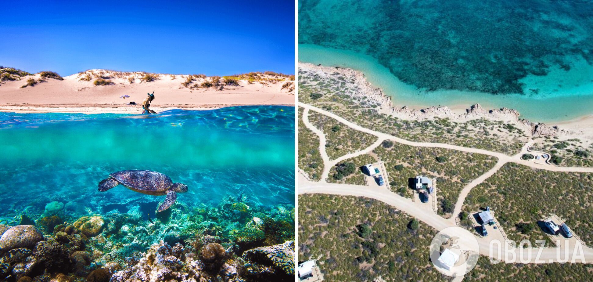 Бирюзовый залив в Австралии имеет разнообразный подводный мир.