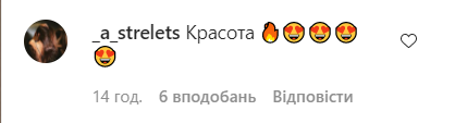 Подписчики бурно отреагировали на публикацию Ульяновой