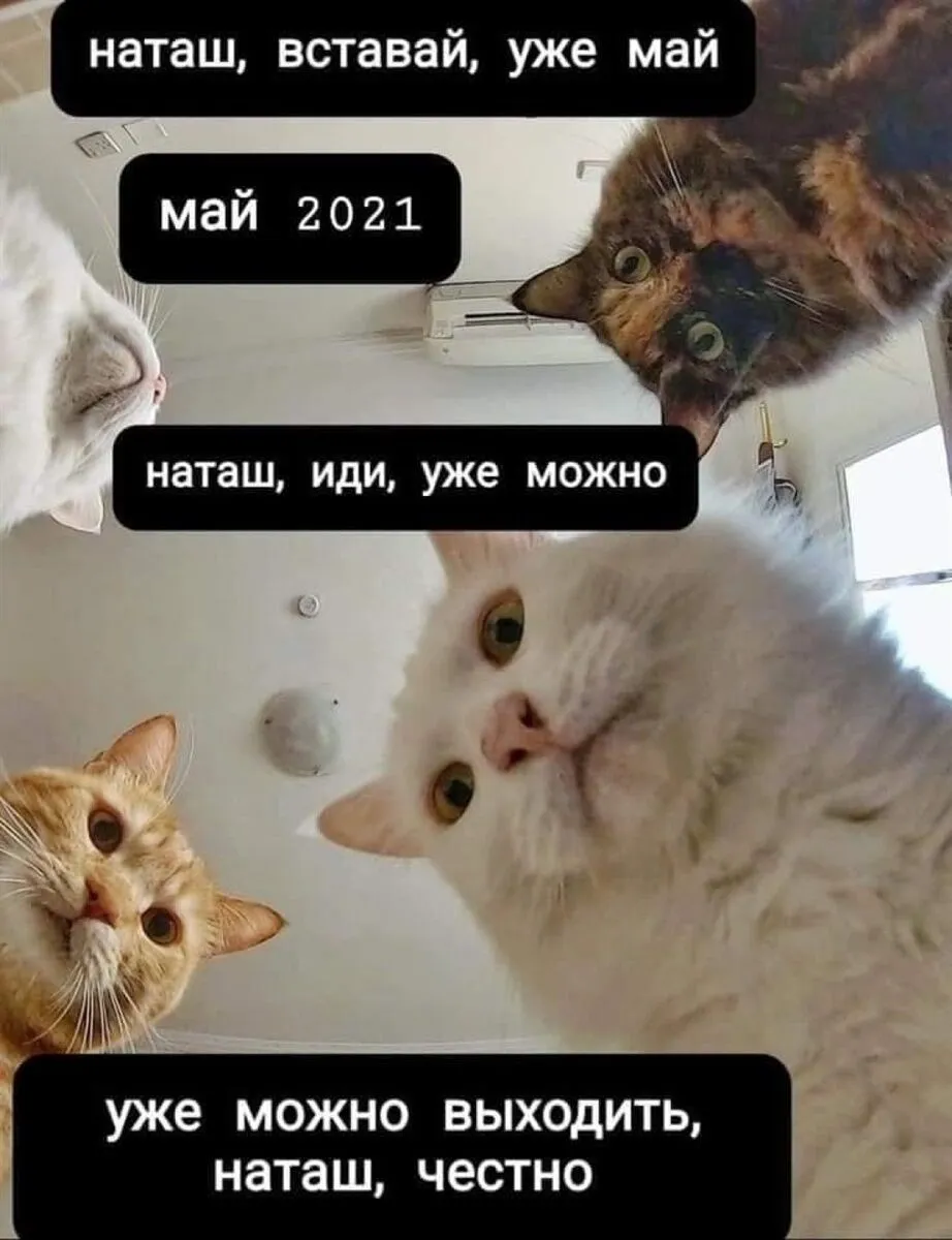 Анекдоты дня - приколы и мемы за 3 февраля