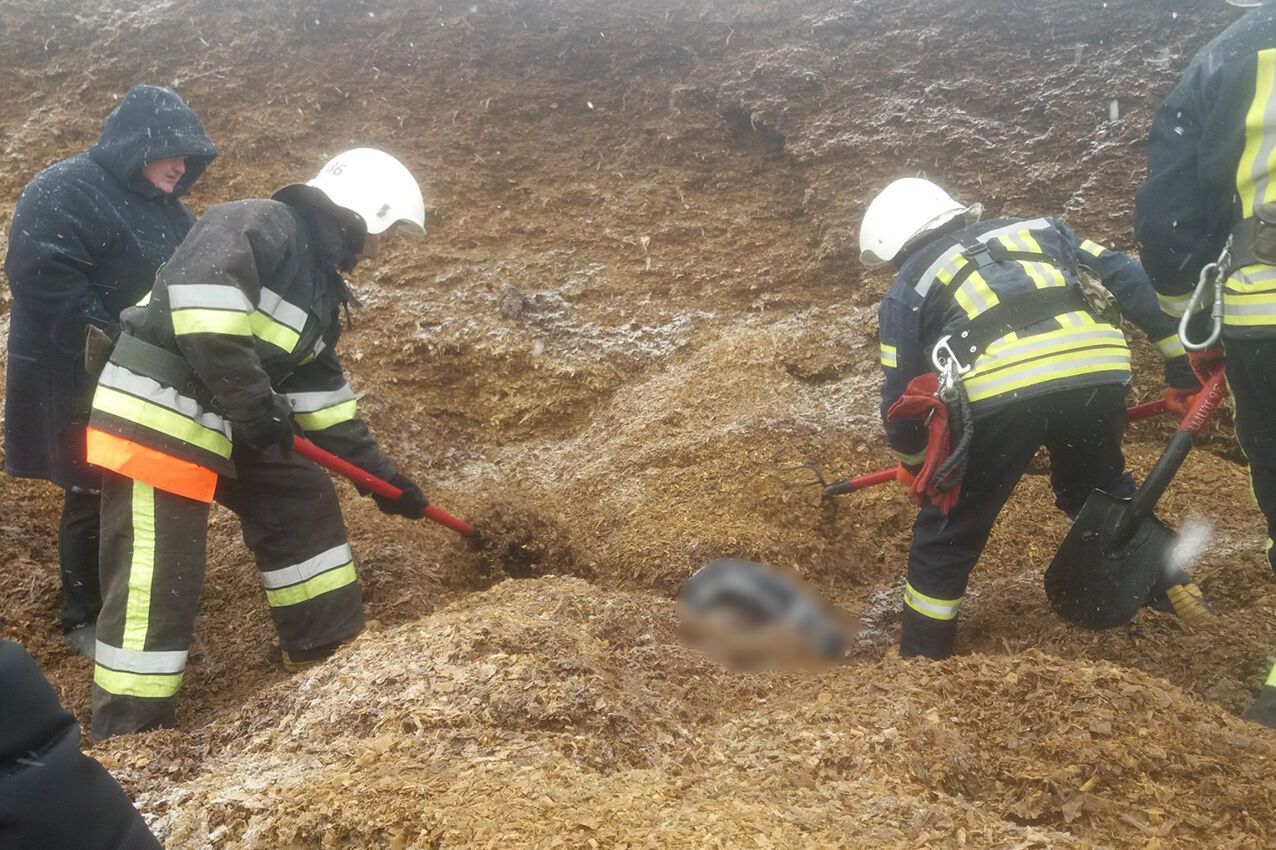 Зсув силосу на підприємстві.