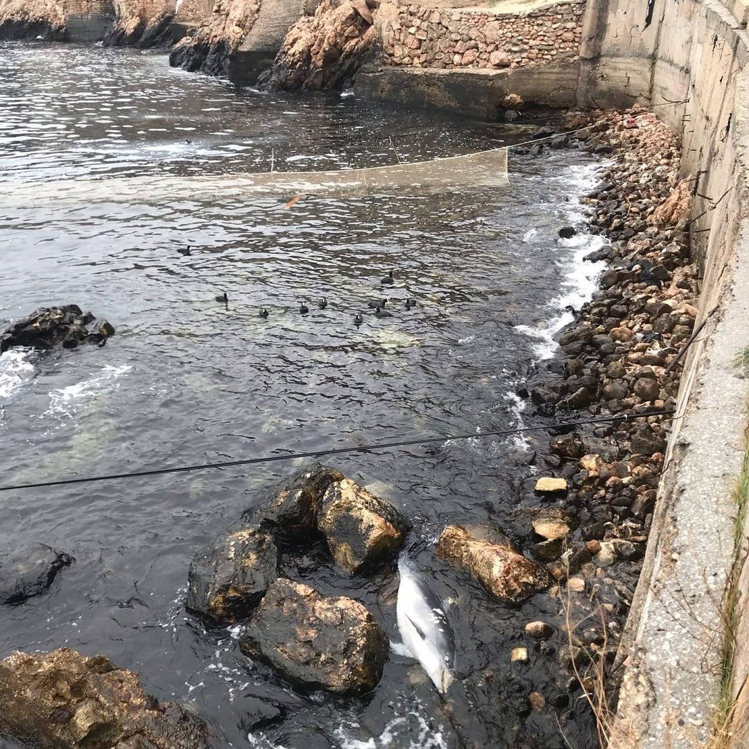 Новини Кримнашу. Вода закінчується, танці з бубном не допомагають