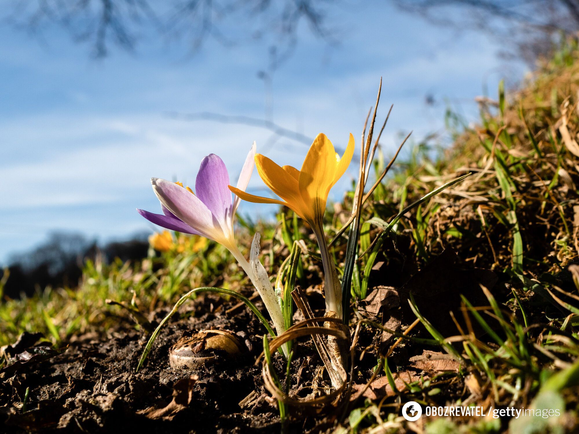Справжня весна в Україну прийде нескоро.