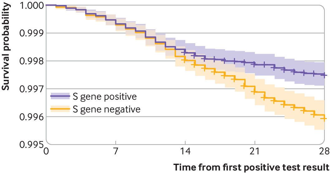 Дані про виживання з позитивним геномом S (інші штами) і негативним ("британський" штам).