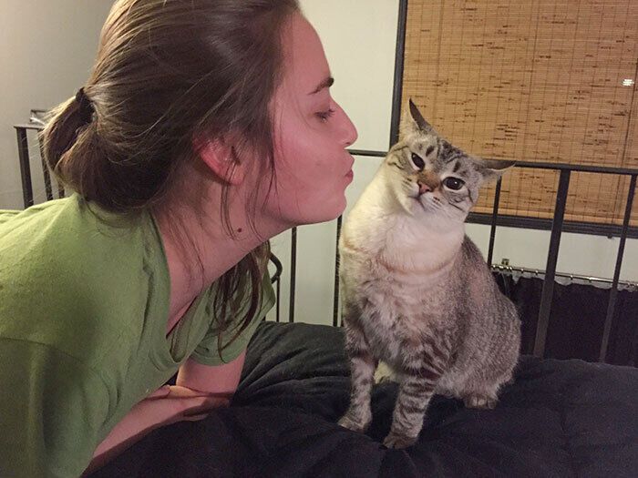 Сьогодні котик не налаштований на поцілунки