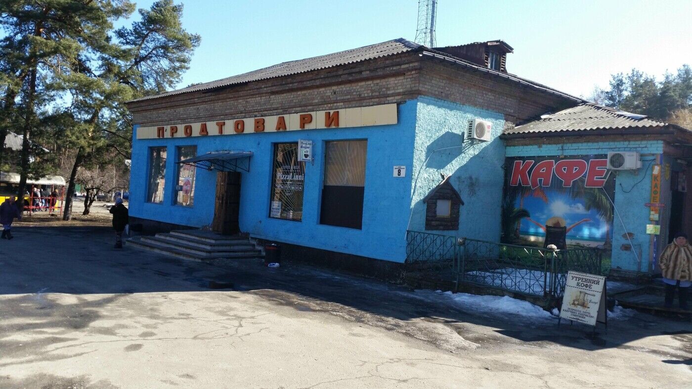 В сети показали фото "тайного" поселка на окраине Киева