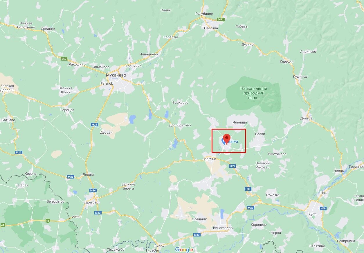 Инцидент произошел в Иршаве Закарпатской области.