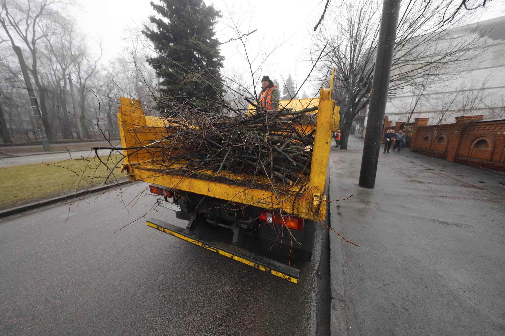 У Дніпрі комунальники обрізають гілки, які сильно нависли над контактними мережами