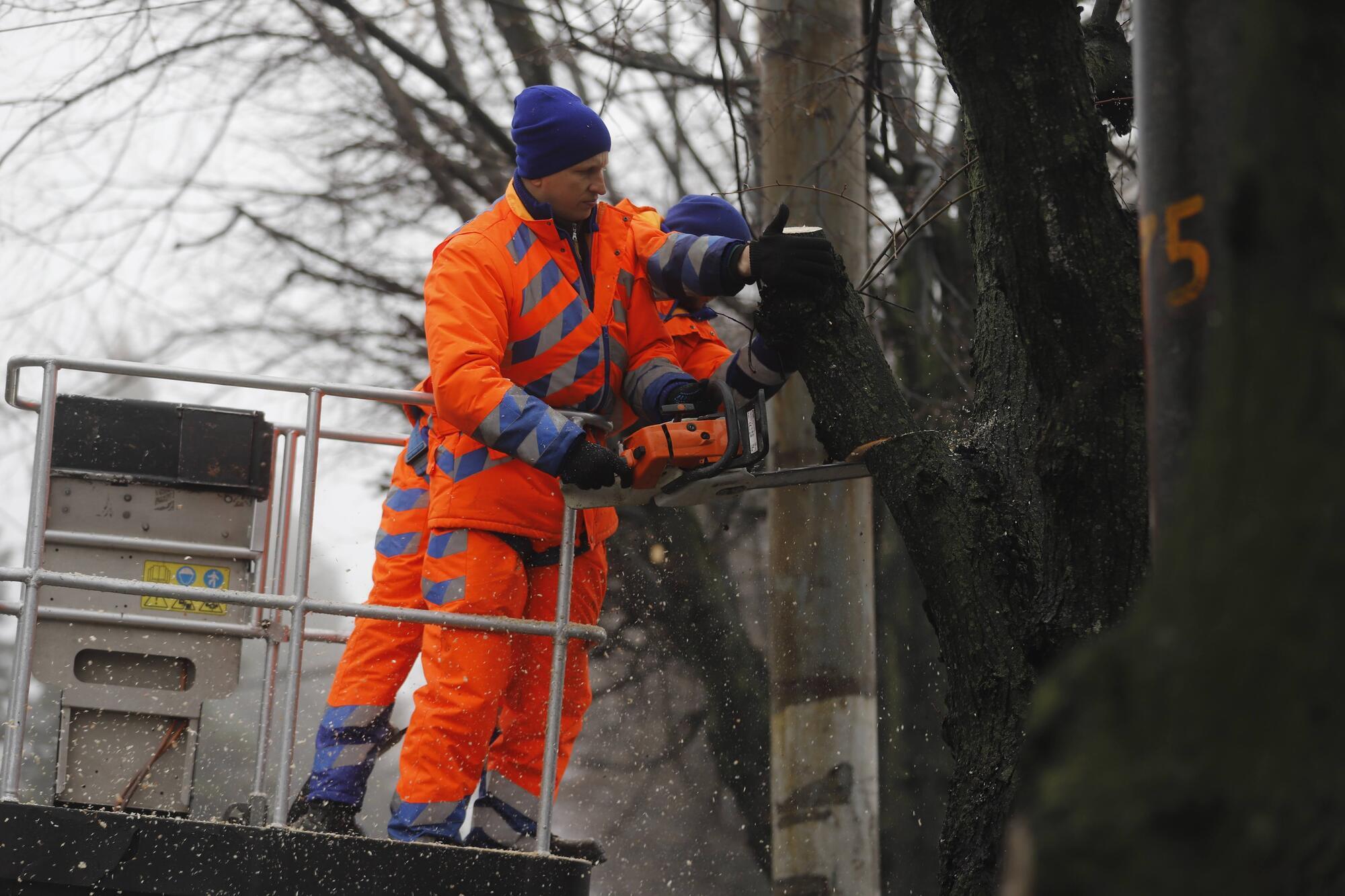 Працівники КП "Міськзеленбуд" обрізають гілки, які сильно нависли над контактними мережами