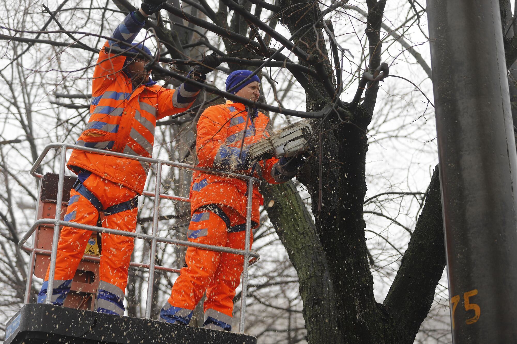 У Дніпрі комунальники обрізають гілки, які сильно нависли над контактними мережами