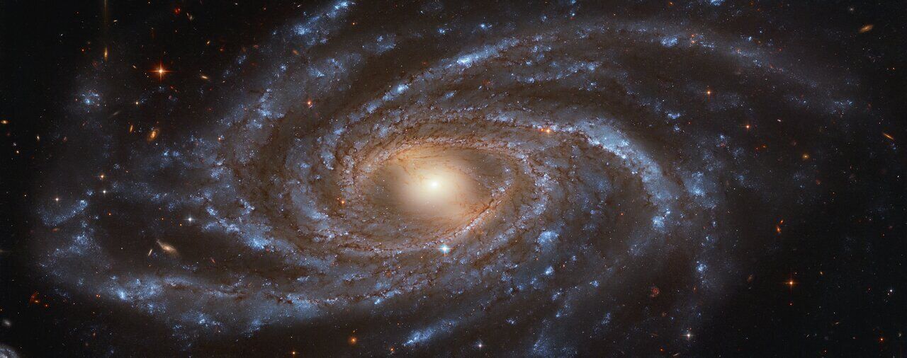 Галактика NGC 2336 в созвездии Жирафа