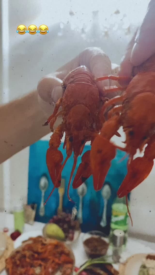 Леся Никитюк показала застолье