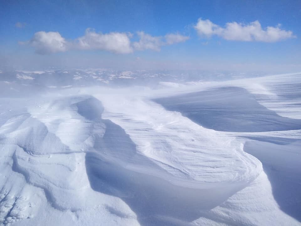 Сильний вітер у Карпатах наніс величезні снігові "бархани"