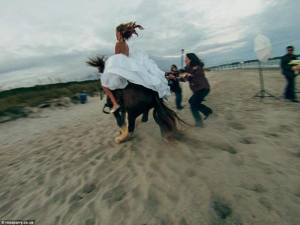 Как только невеста взобралась на лошадь, та резко дернулась вперед.