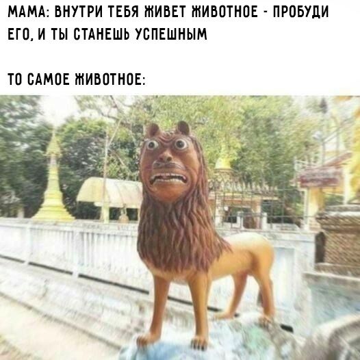 Мем об успехе