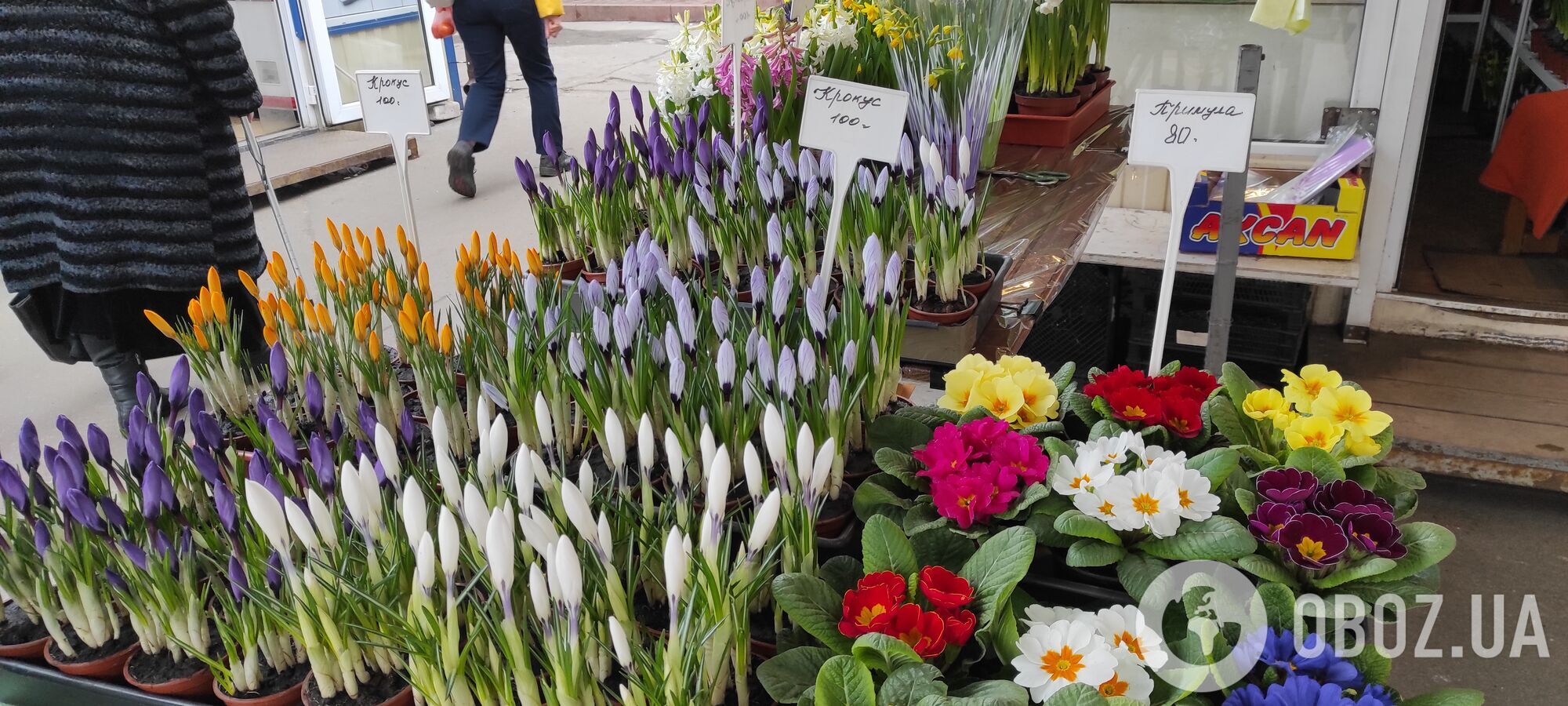 В Киеве к 8-му марта тюльпаны продают за 25 гривен, а нарциссы – по 150