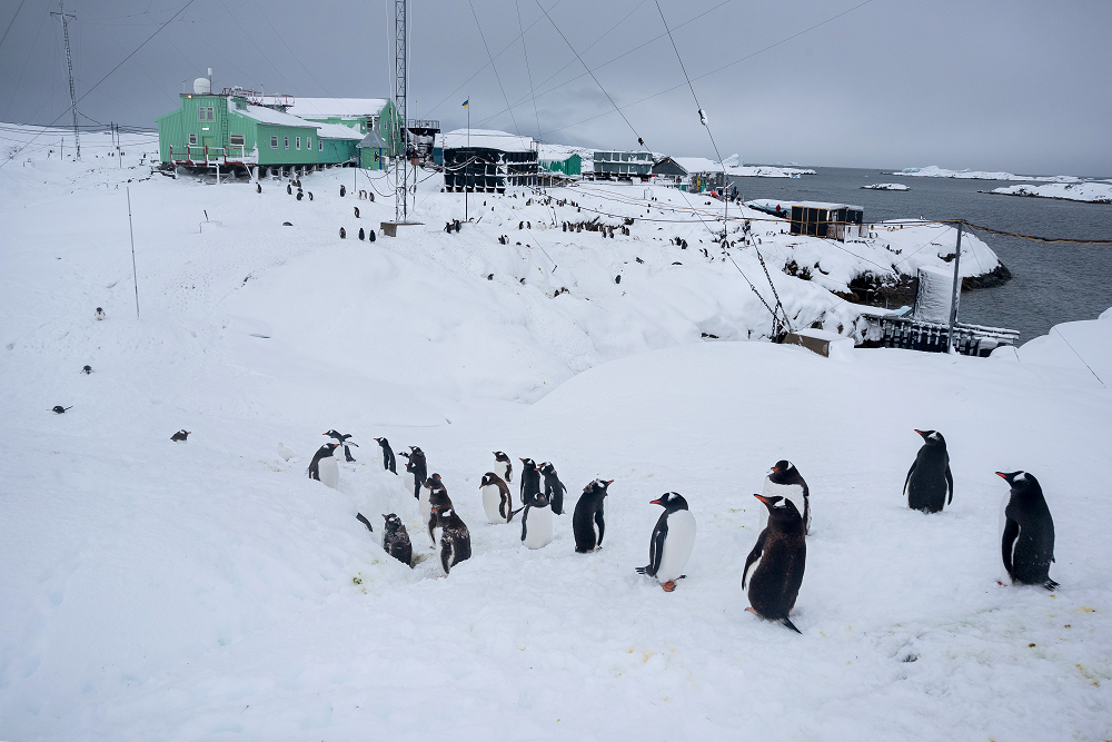 Однак жити та працювати в умовах Антарктики цілий рік – геть не легко