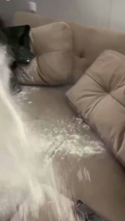 Блогерка розсипала борошно на диван