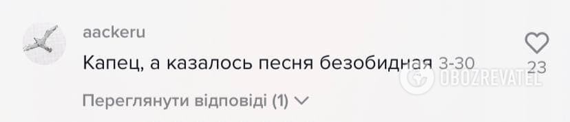 Пользователи удивились смыслу песни