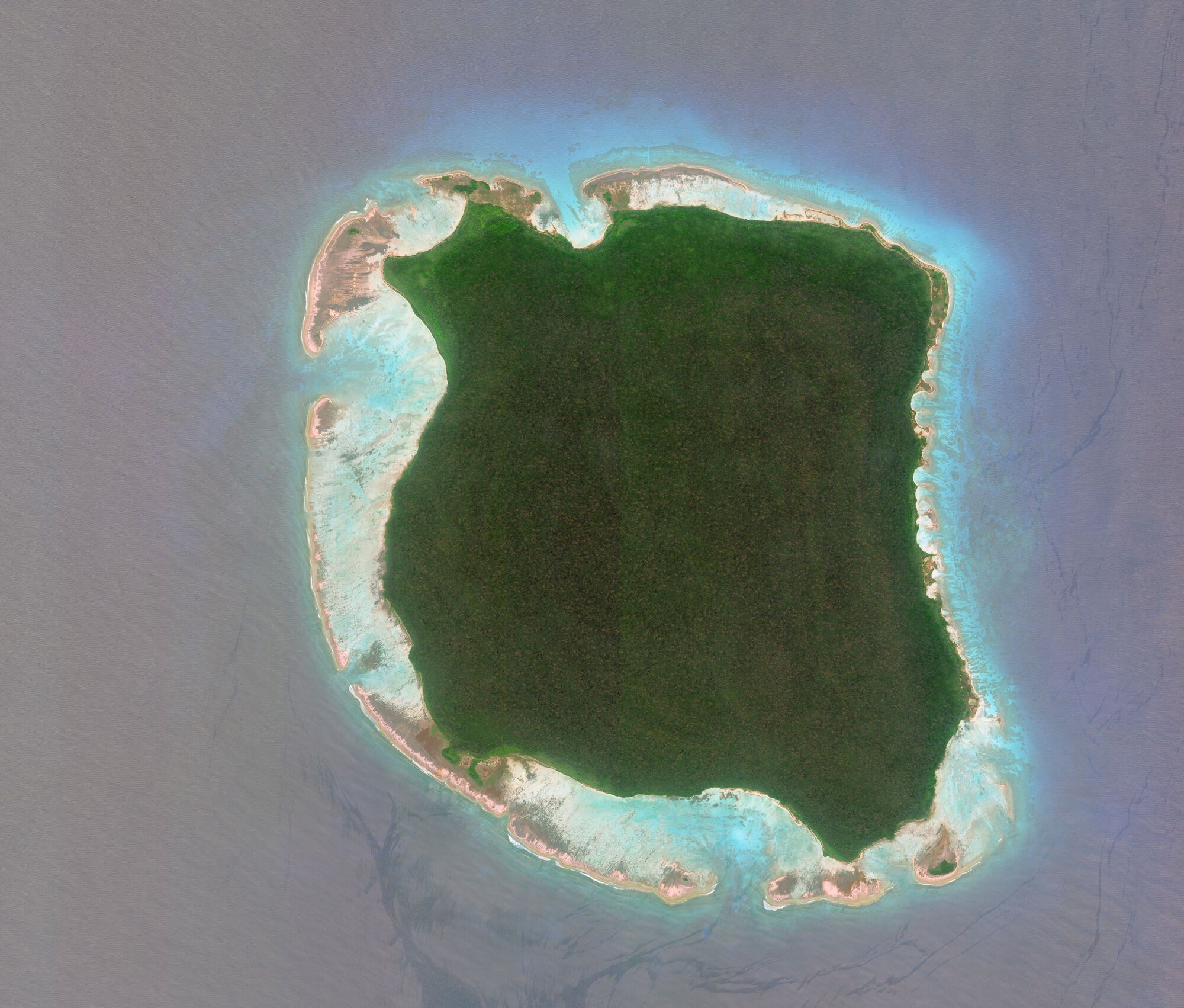 Площадь Северного Сентинельского острова составляет 59,67 кв. м