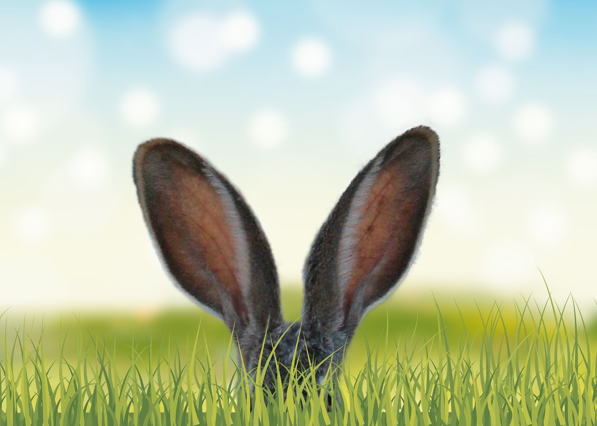 Отличительной чертой католической Пасхи является символ праздника – пасхальный кролик.