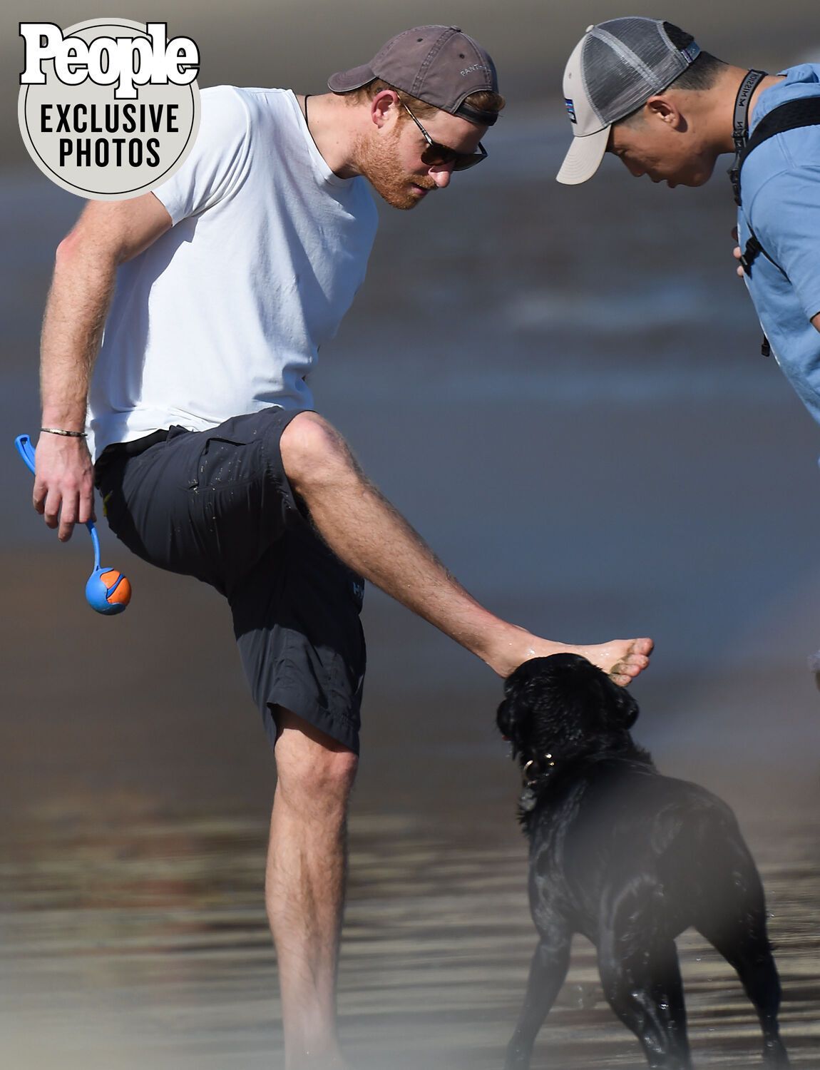 Принц Гарри провел целый день на пляже вместе со своей собакой