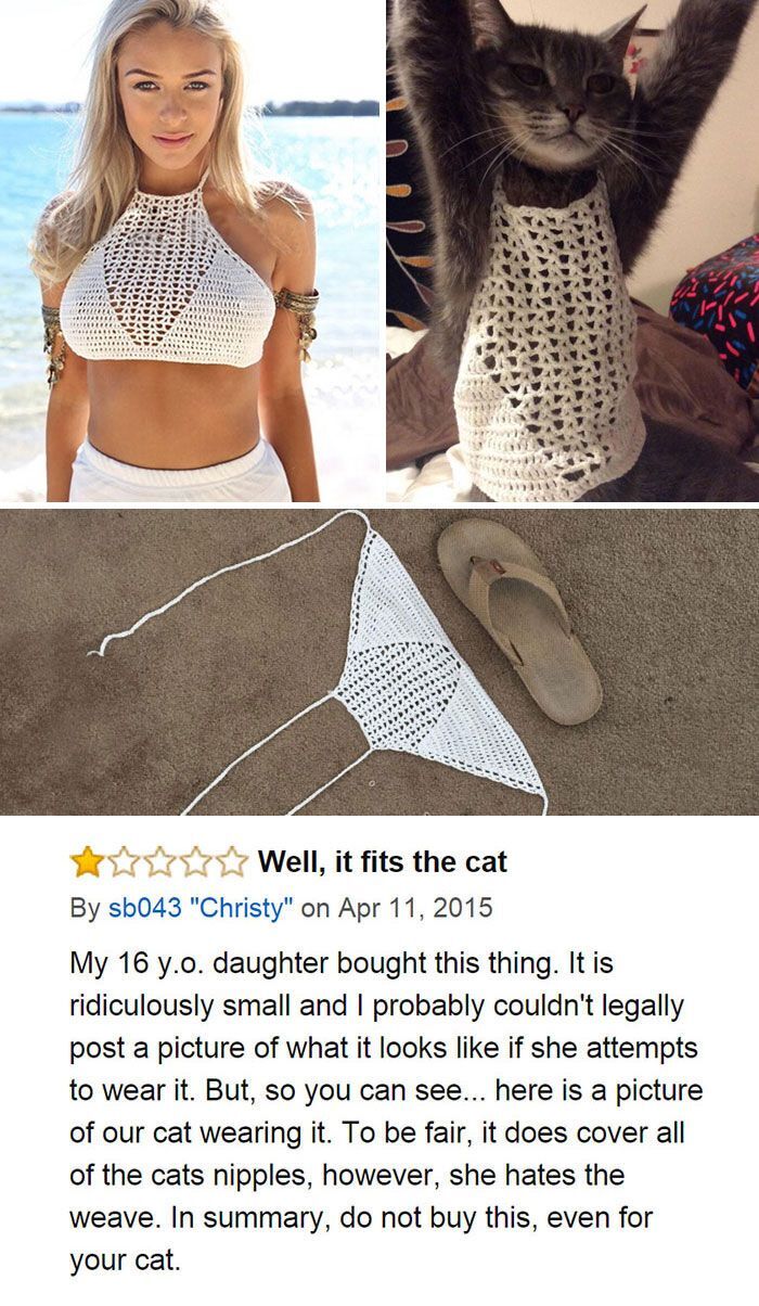 Купальник може одягнути лише кіт