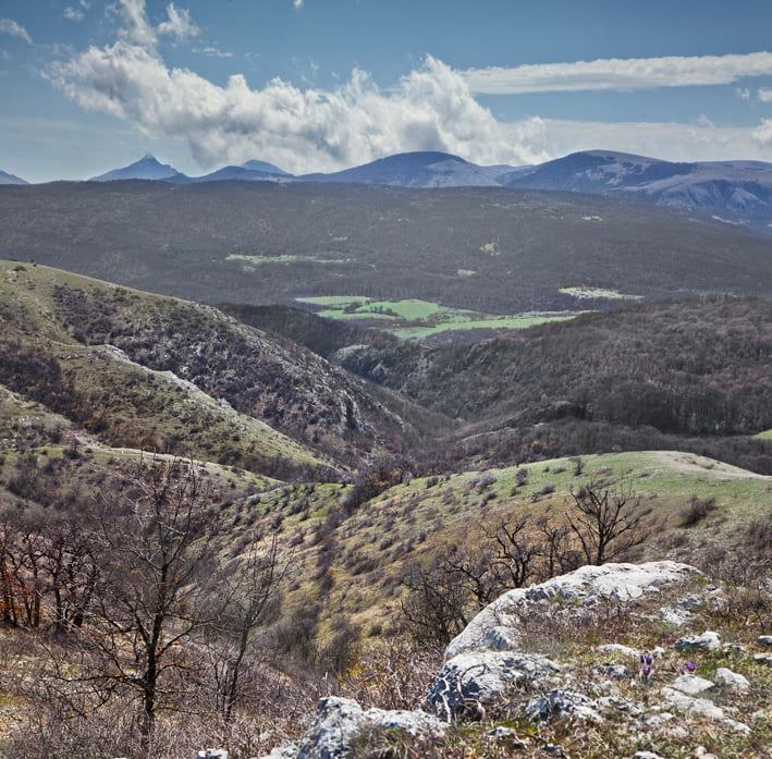 Новости Крымнаша. Не приезжайте, россияне, не все вам рады!