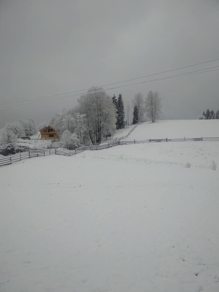 Снег выпал на трассе Киев-Полтава.