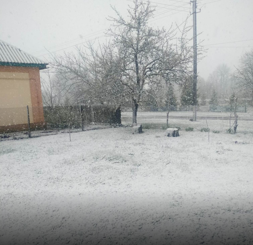 Снігопад на Полтавщині.