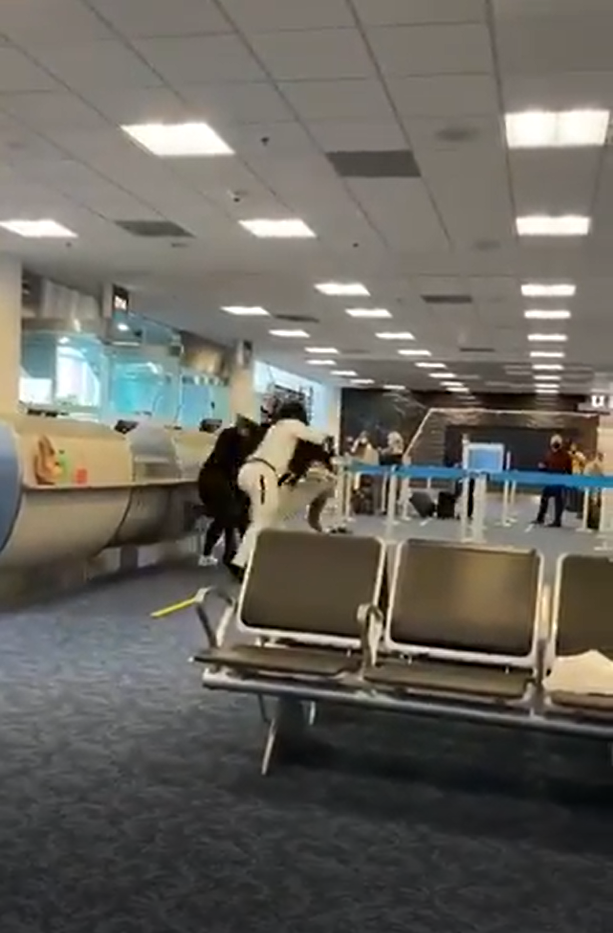 Пассажиры устроили драку в аэропорту Майами