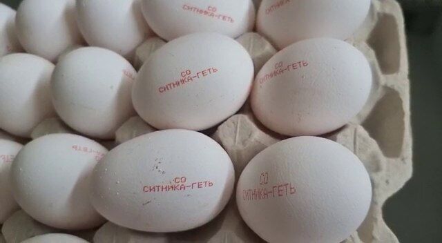 "Укрлендфарминг" выпустит яйца с надписью "Сытника вон"