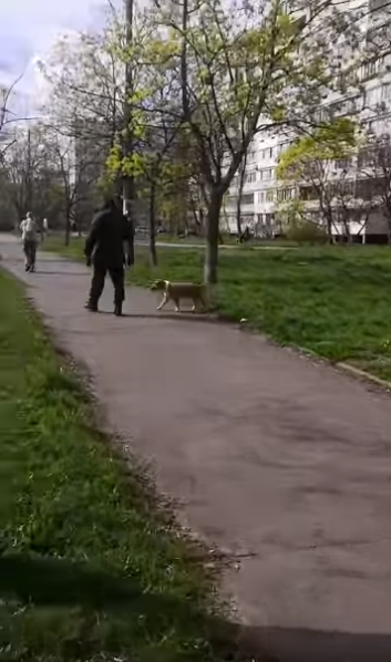 Чоловік йде з місця нападу його пса на собачку