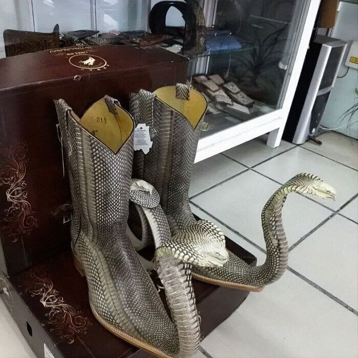 Дизайнер уверен, что змеи ускоряют ходьбу