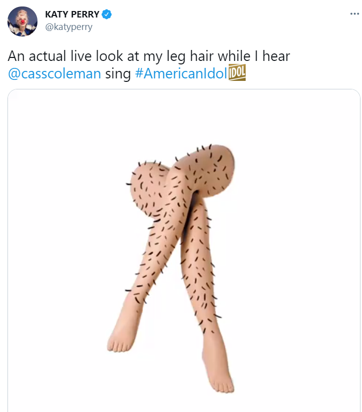 Певица на странице в Twitter опубликовала гифку с волосатыми частями тела