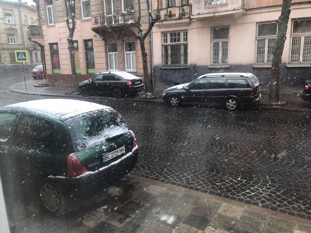 Снігопад у Львові.