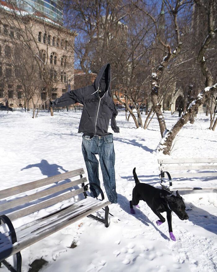 Пес злякався привида